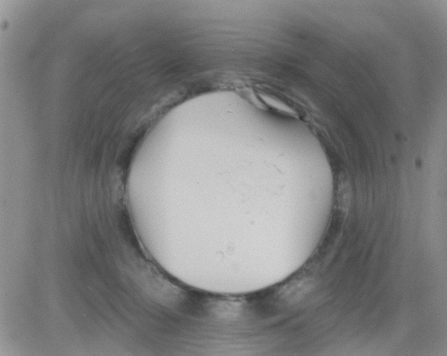 X0000082710318200702232302