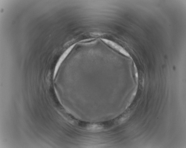 X0000082710319200702232302