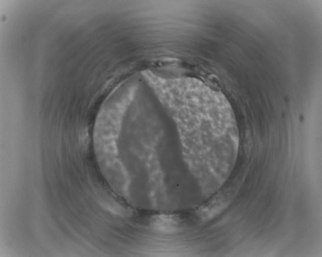 X0000082710320200702232302