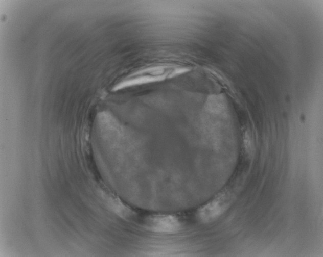 X0000082710322200702232302