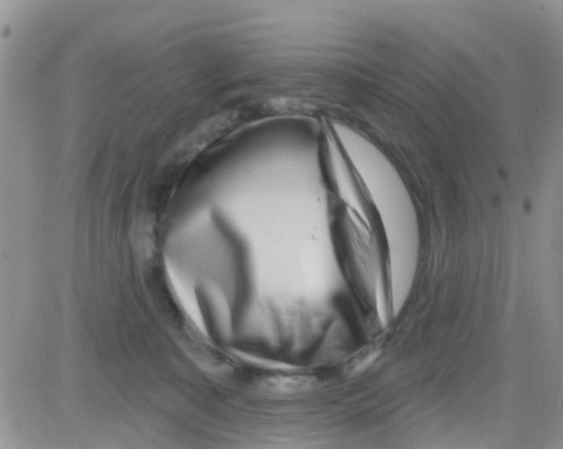 X0000082710323200702232302