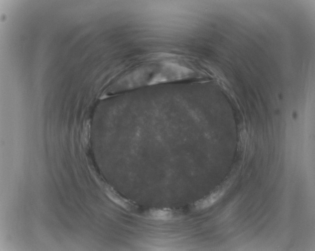 X0000082710325200702232302