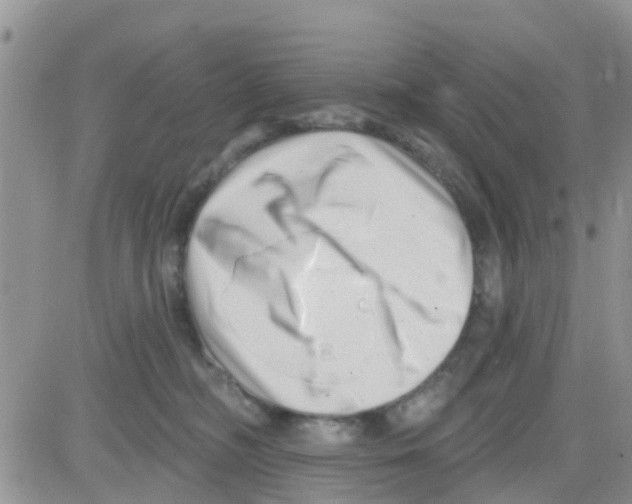 X0000082710326200702232302