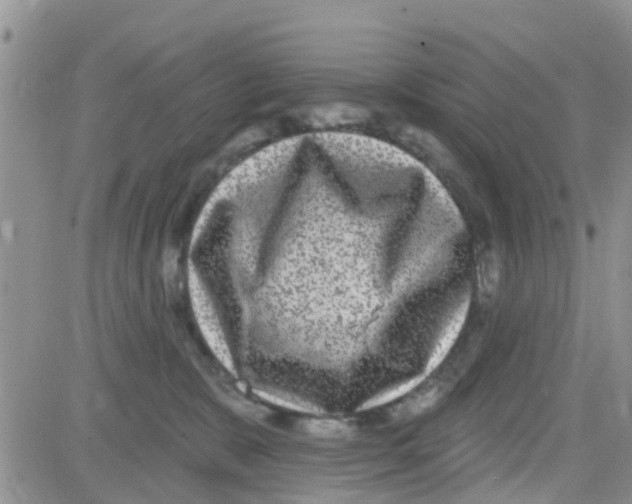 X0000082710327200702232302