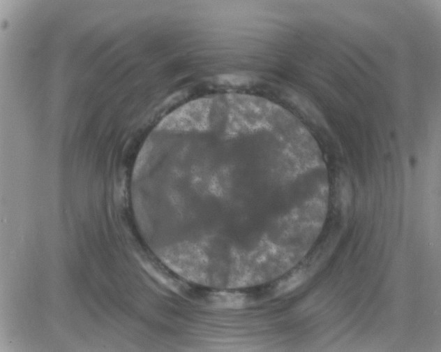 X0000082710328200702232302