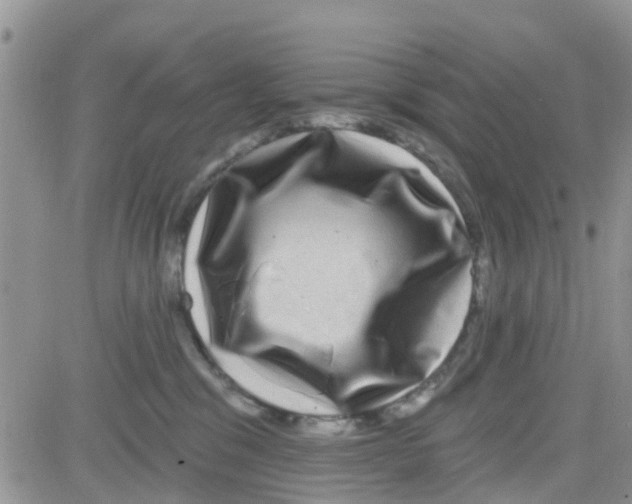 X0000082710329200702232302