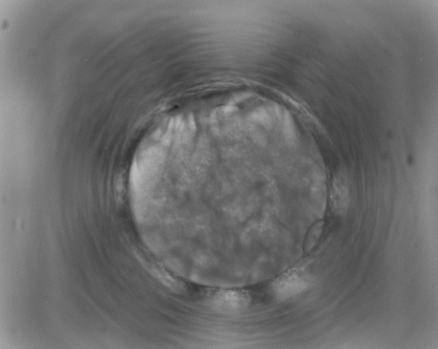 X0000082710330200702232302