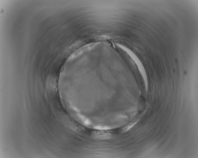 X0000082710331200702232302