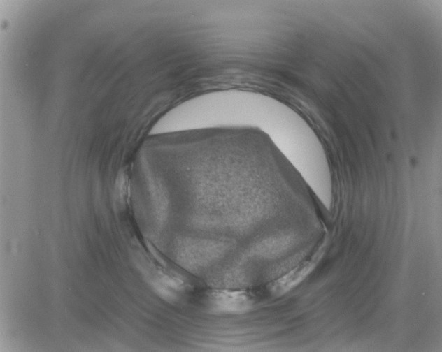 X0000082710333200702232302