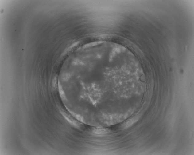 X0000082710336200702232302