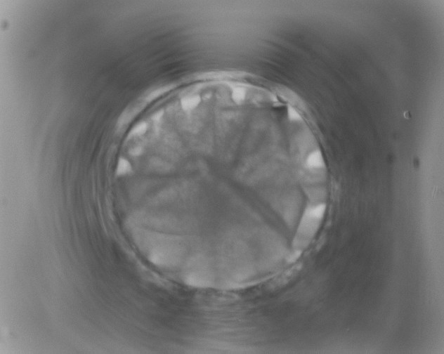 X0000082710337200702232301