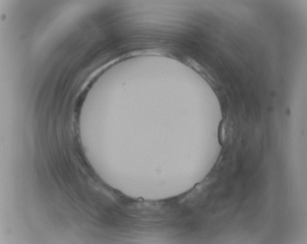 X0000082710338200702232301