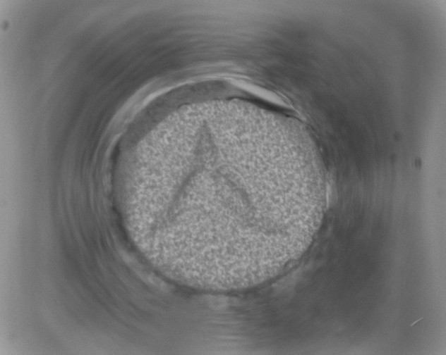 X0000082710339200702232301