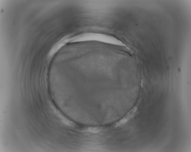 X0000082710341200702232301