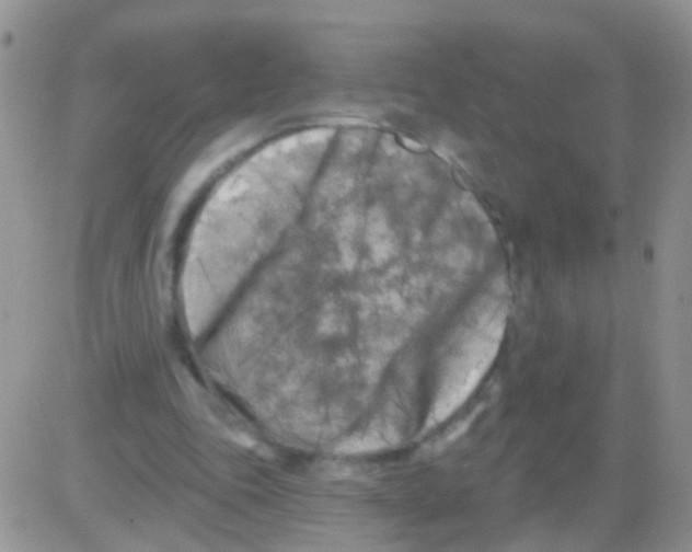 X0000082710343200702232301