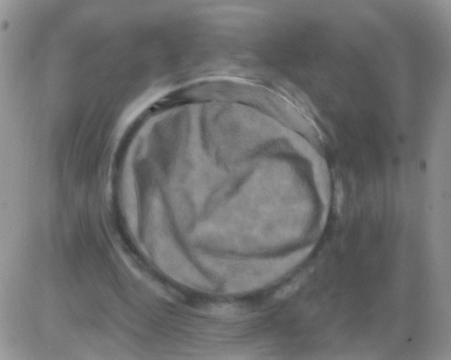 X0000082710344200702232301