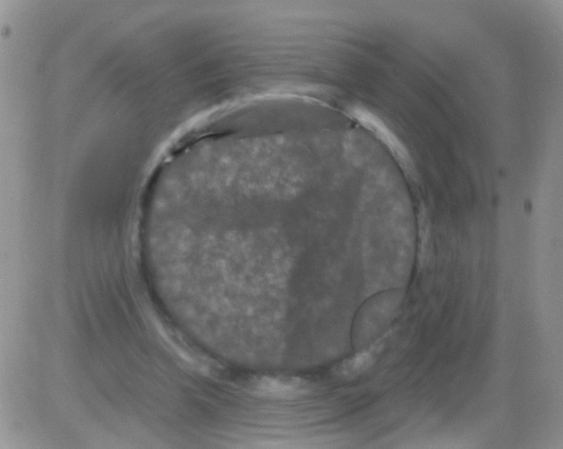 X0000082710346200702232301