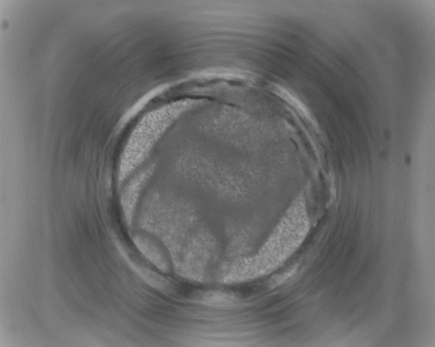 X0000082710348200702232302