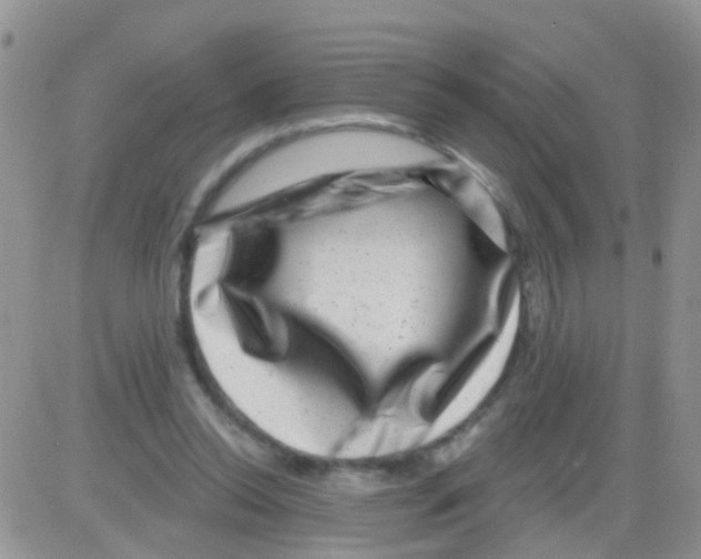 X0000082710350200702232302