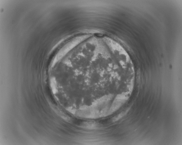 X0000082710351200702232302