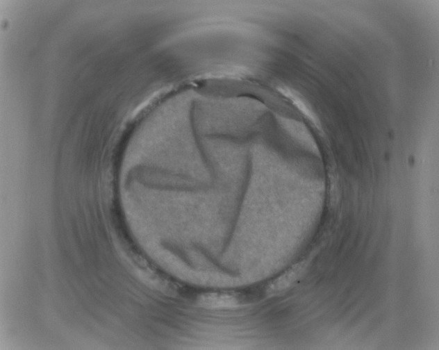 X0000082710354200702232302