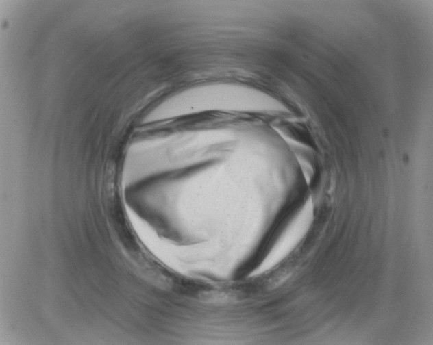 X0000082710356200702232302