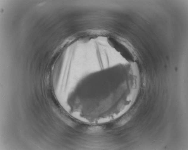 X0000082710357200702232302