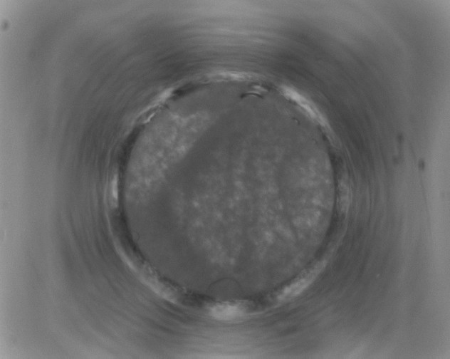 X0000082710358200702232302