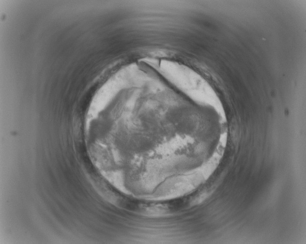 X0000082710359200702232302