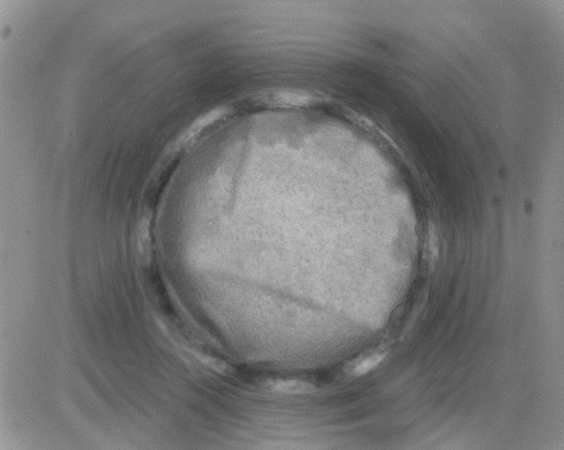 X0000082710360200702232302