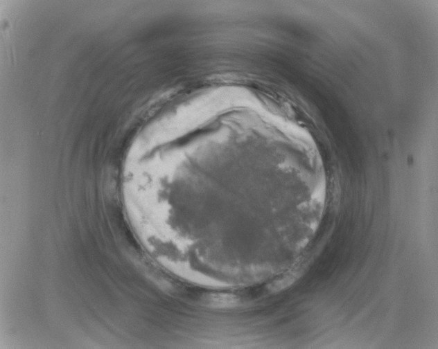 X0000082710361200702232302