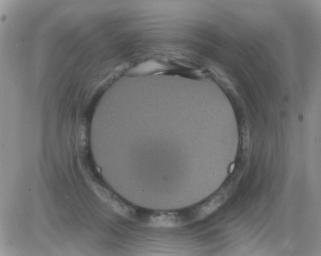 X0000082710362200702232302