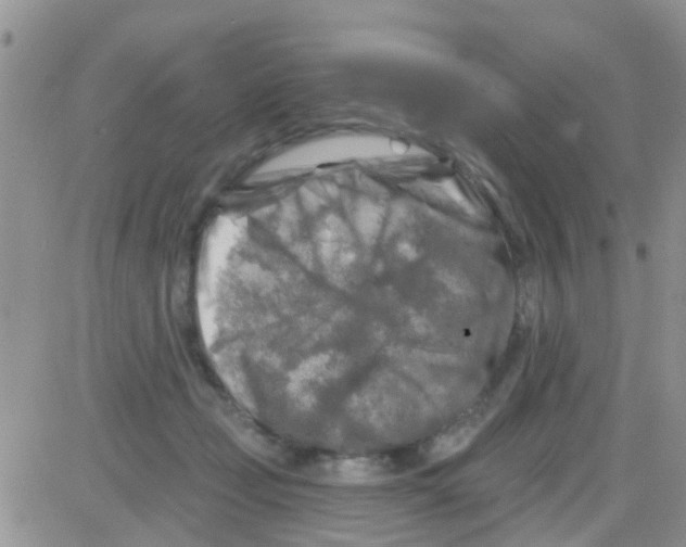 X0000082710365200702232302