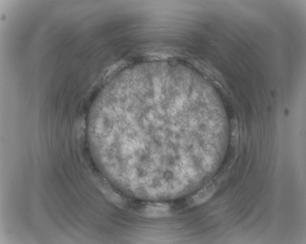 X0000082710369200702232302