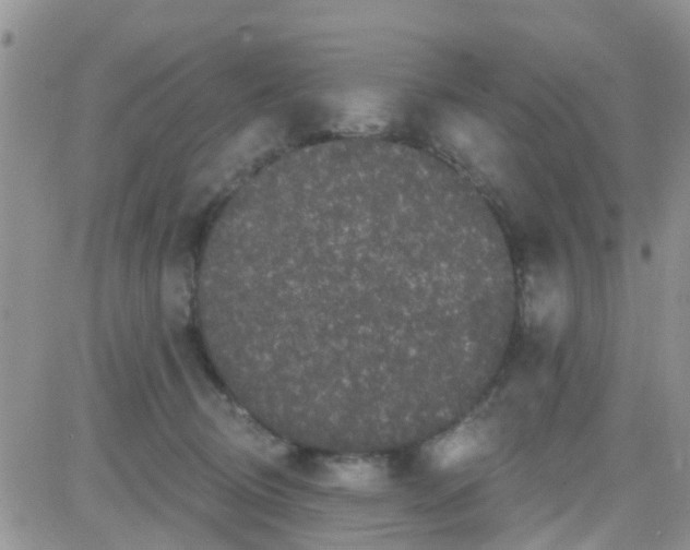 X0000082710370200702232302