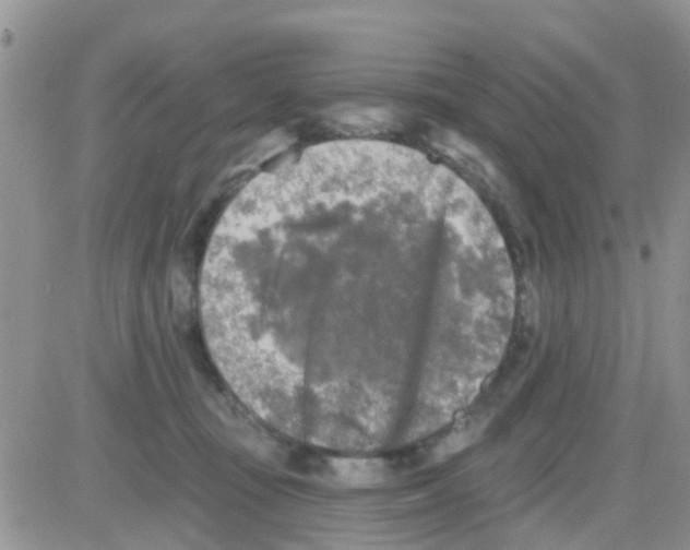 X0000082710371200702232302