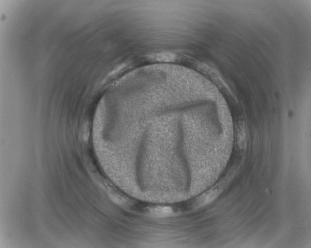 X0000082710374200702232302