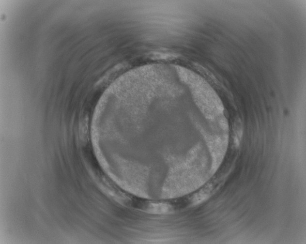 X0000082710376200702232302