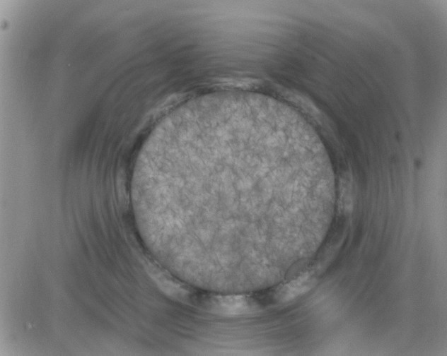 X0000082710377200702232302