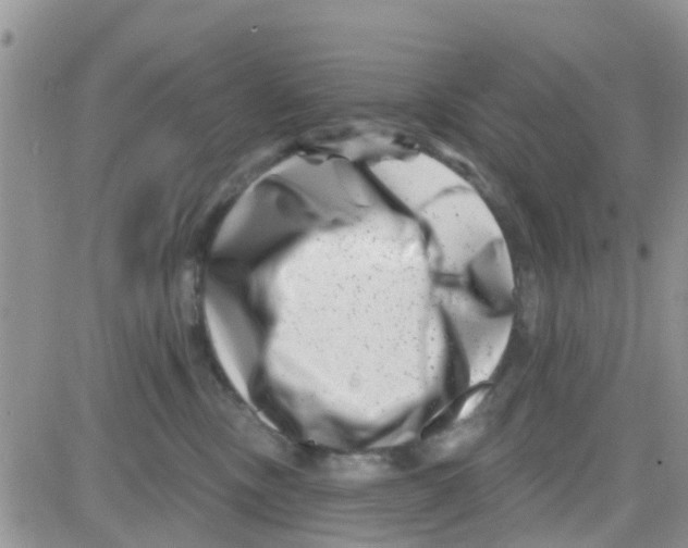 X0000082710378200702232302