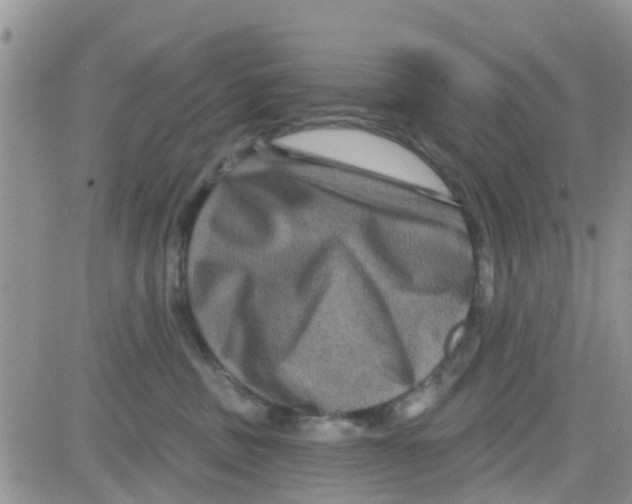 X0000082710379200702232302