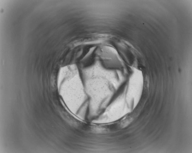 X0000082710380200702232302