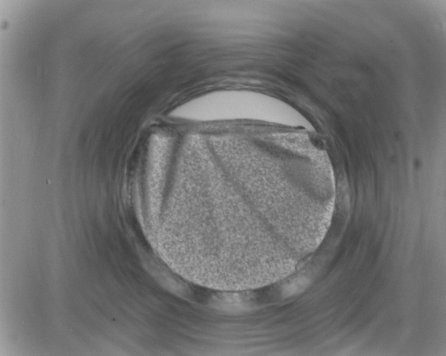 X0000082710381200702232302