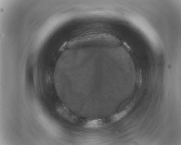 X0000082710382200702232302