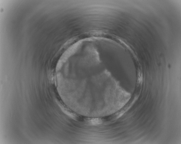 X0000082710383200702232302