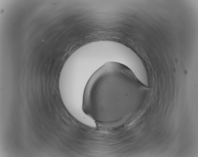 X0000082710384200702232302