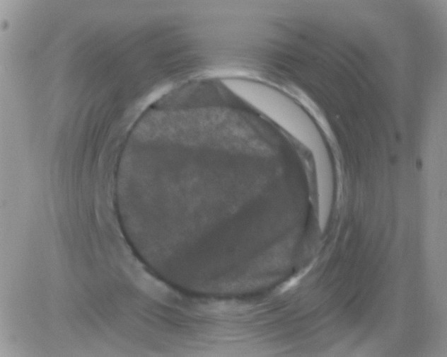 X0000082710385200702232301