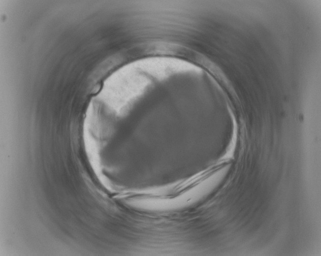 X0000082710386200702232301