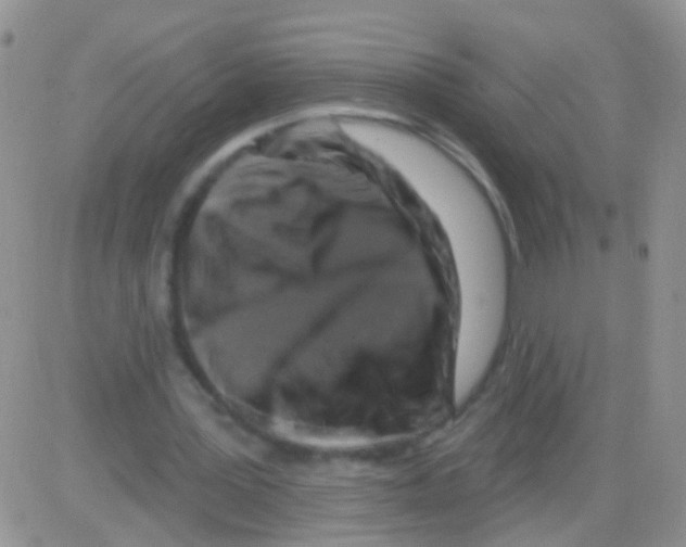 X0000082710387200702232301