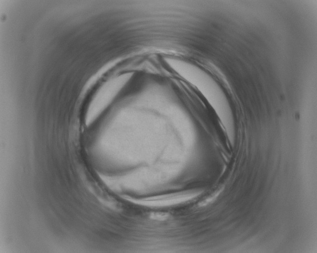 X0000082710388200702232301